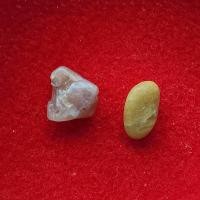 ราคา พระธาตุ สมเด็จพระพุฒาจารย์ (หลวงปู่นวม พุทฺธสรมหาเถร) วัดอนงคาราม (รหัส C9/4) (26074843956)