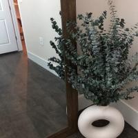 ราคา ใบยูคาลิปตัสแห้งสําหรับตกแต่งจัดแจกันอุปกรณ์ถ่ายรูป (42213496039)