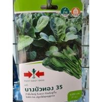 ราคา คะน้า บางบัวทอง 35 (10721030427)