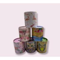 ราคา กระปุกออมสินมีฝาเปิดได้ ออมสินทรงกลม กระปุกออมสิน ลายการ์ตูน คละลาย คละสี (17924633436)