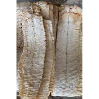 ราคา หมึกบดย่าง ทำจากเนื้อหมึกแท้ๆนำไปบดย่างหอม อร่อย #หมึกบดแห้ง #หมึกบดย่าง ราคา ส่ง ถูกมาก (24479716482)