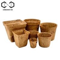 ราคา (แพ็ค 10 ชิ้น) กระถางต้นไม้ใยมะพร้าว กระถางใยมะพร้าว COCONUT FIBER POT (22045924600)
