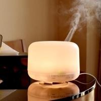 ราคา 500ML Muji Essential Oil Aroma Diffuser อัลตราโซนิคบลูทูธ Aroma Diffuser Humidifier Essential Oil Diffuser กลิ่นหอมเครื่อง I6MG (51901049833)