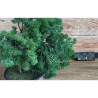 ราคา Louis Vuitton กระเป๋าใส่กุณแจมือสองของแท้100% (21730813263)