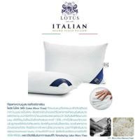 ราคา [ของแท้ %] หมอนหนุนสุขภาพ (โลตัส) : LOTUS ITALIAN MICRO VISCO PILLOW (790341513)