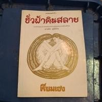 ราคา ชั่วฟ้าดินสลาย : เรียมเอง (27650894687)
