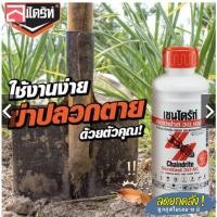 ราคา เชนไดร้ท์ ราดพื้น สเตดฟาส 30 เอสซี ยากำจัดปลวกแบบเข้มข้น (14499159456)