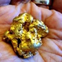 ราคา หัวสุนัขธรรมชาติทองดาวตกหินดิบแร่ทองดูดทองทองทองทองทองโชคลาภ-manatural狗头金石装饰件套装新款金餐宝金真品装饰件日本9.18LYJ (40371024583)