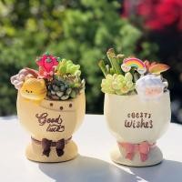 ราคา ช่อดอกไม้ฉ่ำน่ารักการ์ตูนสร้างสรรค์สัตว์รูปร่างกระถางดอกไม้แมวหมีแพนด้ากระต่ายแกะกระถางขนาดเล็กของข (27274354813)