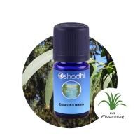 ราคา Oshadhi - Eucalyptus radiata essential oil (8927510021)