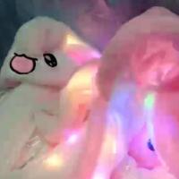 ราคา หมวกกระต่ายหูกระดิก มีไฟ (1834568435)