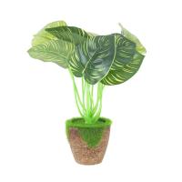 ราคา THE RICH BUYER ต้นไม้เทียมกระถาง ต้นสาวน้อยปะแป้ง 20 ซม. รุ่น DM022 ต้นไม้เทียม ต้นไม้ปลอม ต้นไม้ประดิษฐ์ ต้นไม้ (20980545573)