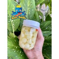 ราคา กระเทียมโทนดองน้ำผึ้ง เล็ก ผสมยาจีน (น้ำหนักรวมน้ำ 250 กรัม) (11637443035)