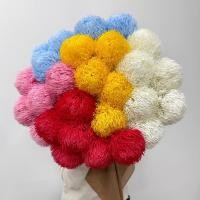 ราคา ปิงปองยางHCx1 พร้อบดอกไม้/จัดแจกัน ดอกไม้ปลอม (29855221325)