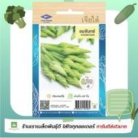 ราคา ดอกชมจันทร์ ชมจันทร์ เจียไต๋ 10เมล็ด/ซอง (2312013142)