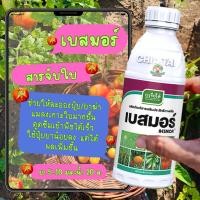 ราคา เบสมอร์ 1 ลิตร สารจับใบ เจียไต๋ สารเสริมประสิทธิภาพพืช (42472527033)