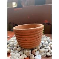 ราคา กระถางต้นกระบองเพชร (11323913962)