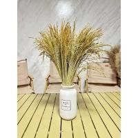 ราคา รวงข้าวแห้ง (ขั้นต่ำ3กำรวมได้)รวงข้าวอบแห้ง รวงข้าวย้อมสี หญ้าแห้ง หญ้าย้อม สีดอกไม้แห้ง รวงข้าวแห้ง มีหลายแบบหลายสี (8546511902)