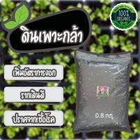 ราคา ดินเพาะกล้า ดินอนุบาลต้นกล้า ดินอนุบาลไม้เนื้อเยื่อ ดินผสมพร้อมปลูก สำหรับอนุบาลต้นกล้า เพาะต้นกล้า เพาะเมล็ด (8058182133)