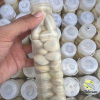 ราคา สะตอดอง สะตอข้าวดอง เม็ดใหญ่ กรอบ อร่อย (41509111873)