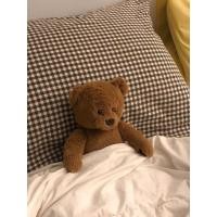 ราคา ตุ๊กตาหมีตัวใหญ่น่ารัก (23124007019)