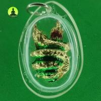 ราคา จี้พญานาค 2 ตัว เกี้ยวกัน สีเขียว เลี่ยมกรอบ จี้พญานาคแท้ จี้พญานาคราช จี้พญานาคห้อยคอ จี้ เครื่องรางเสริมดวง เครื่องราง (5072716524)