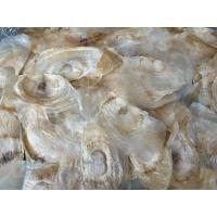 ราคา เมล็ดพันธุ์เพกา/ลิ้นฟ้าแห้ง(บรรจุ 25 กรัม) (26283908194)