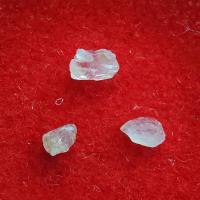 ราคา พระธาตุ หลวงปู่ภูมี ฐิตธัมโม วัดป่าโนนนิเวศน์ (รหัส E2/1) (28786781153)