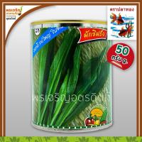 ราคา เมล็ดพันธุ์ผักชี ผักชีฝรั่ง กอใหญ่ ใบหอม (50 กรัม) เมล็ดผักชีปลาทอง เมล็ดผักชีใบเลื่อย เมล็ดพันธุ์ผักสวนครัว ตราปลาทอง (7582664074)