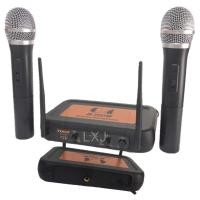ราคา LXJไมโครโฟนไร้สาย ไมค์ลอยคู่ WIRELESS MICROPHONE (14386756341)