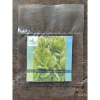 ราคา เมล็ด Romaine Lettuce 50เมล็ด/เมล็ด100เมล็ดเล็ก/ดอกไม้/สวน/ดอกทานตะวัน/ดอกไม้/ดอกไม้ใหญ่/ข้าวโพด/ดอกทานตะวัน/กระ/กระ/กระ (17788882236)