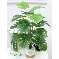 ราคา มอนสเตอร่าปลอม มอนสเตอร่า ใบมอนสเตอร่า (8251239648)