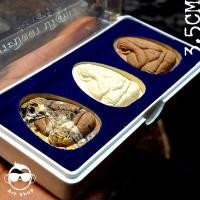 ราคา พระปิดตา ปริสุทฺโธ รุ่น เสาร์ ๕ หลวงพ่อคูณ วัดบ้านไร่ นครราชสีมา ปี๓๗ 1 ชุด 3 เนื้อ พระเนื้อผง พร้อมกล่องเดิม (25191485109)