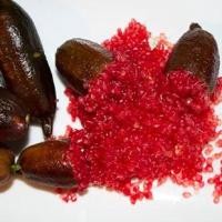 ราคา ต้นมะนาวนิ้วมือ มะนาวคาเวียร์ Finger lime พันธุ์ WAUCHOPE ลำต้นสูง 30 ซม (11313488371)