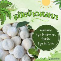 ราคา [แพ็ค 5 ลูก] แป้งข้าวหมาก / แป้งข้าวหวาน / แป้งมีเชื้อสาโท ทำสาโทได้ / แป้งสาโท / หวานไม่ต้องเติมน้ำตาล (24917371054)