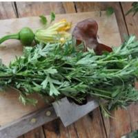 ราคา จำนวน 1500 เม็ด/ซอง หอมแย้ มีชื่อเรียกอื่นว่าผักหอมแย้ยำแย้ ลำแย้ ผักสะแงะแสงะอีแงะ ผักชีไร่ (17428409253)