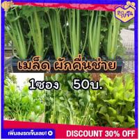 ราคา เมล็ดพันธุ์คื่นช่าย คื่นช่าย เมล็ดตั้งโอ๋ (Celery)อัตรตรางอกดีปลูกผักกินเอง ผักสวนครัว 3000+เมล็ด (14445219822)