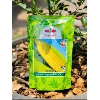 ราคา เมล็ดพันธุ์ข้าวโพดหวานลูกผสม จัมโบ้สวีทF1 ฮันนี่คิงส์40F1 ตราศรแดง ปริมาณ200กรัม ข้าวโพดหวานศรแดง (24590708039)