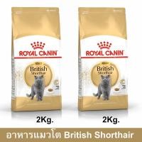ราคา Royal Canin British Shorthair Adult [2kg x2] รอยัล คานิน อาหารแมวโต พันธุ์บริติช ช็อตแฮร์ (1141105446)
