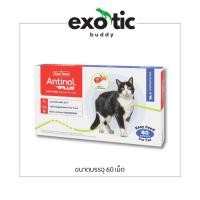 ราคา Antinol For Cat 60 Cap ( อาหารเสริมบำรุงข้อสำหรับแมว 1กล่อง บรรจุ60เม็ด ) (41073068858)