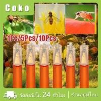 ราคา สารล่อแมลงวันทองเมทิลยูจินอล สูตรเข้มข้นพิเศษ สำหรับ หนอนเจาะผลไม้ พริก มะเขือ แปลงเกษตร สวนผลไม้10หลอด5หลอด1หลอด (28410403177)