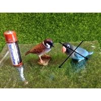 ราคา Gachapon กาชาปองนกกระจอก Kaiyodo โมเดลนก (2167200088)