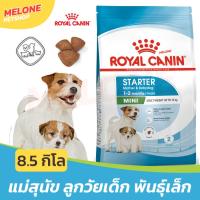 ราคา [กระสอบใหม่] Royal Canin Mini Starter Mother & Babydog อาหาร ลูกสุนัข และ แม่สุนัข รอยัลคานิน พันธุ์เล็ก ขนาด 8.5 kg (18967935250)