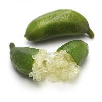 ราคา ต้นมะนาวนิ้วมือ มะนาวคาเวียร์ Finger lime พันธุ์ TASTY GREEN ลำต้นสูง 30 ซม (11413488327)