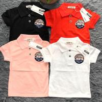 ราคา เสื้อโปโลเด็กCAZEKYTS ผ้านิ่มมาก 1-10ขวบ พร้อมส่ง❗️มีเก็บเงินปลายทาง (6917078358)