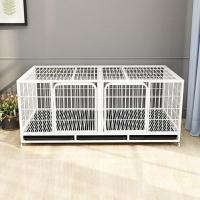 ราคา กรงสุนัขขนาดใหญ่ / กรงแมว / กรงแมววิลล่าขนาดใหญ่ พื้นที่ว่าง / กรงแมว (24634398765)