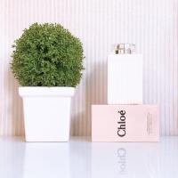 ราคา Chloe Perfume Body Lotion 200 ML (5690066619)