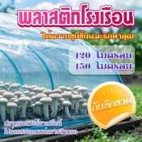 ราคา พลาสติกโรงเรือน พลาสติกคลุมโรงเรือน ผ้าใบใสคลุมโรงเรือน UV7% [เเบ่งตัดขาย] หน้ากว้าง 3 4 5 6 เมตร หนา 120/150ไมครอน (43621496970)