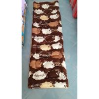 ราคา เบาะรองนั่ง รุ่นหนา 2 นิ้ว ผ้ากำมะหยี่ ปูโซฟา ปูนั่งเล่น ความยาว 40×160 ซม. (1898458173)