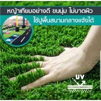 ราคา หญ้าเทียม หญ้าเทียมปูพื้น อุปกรณ์ตกแต่งสวน แผ่นหญ้าเทียม หญ้าปลอม หญ้าแผ่น สนามหญ้า หญ้าปูพื้นสนาม (10356390722)